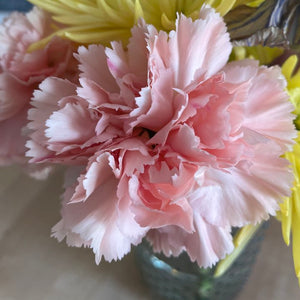 How Carnations Framed a Revolution